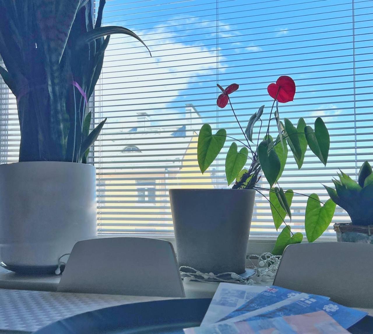 Scandinavian Desing Home 37 City Center In Kamppi 赫尔辛基 外观 照片